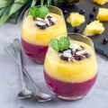 Two layer smoothie with black currant, quick oats, yogurt and pineapple, banana, square