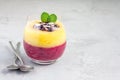 Two layer smoothie for breakfast in glass, horizontal, copy space