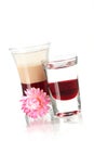 Two layered shot cocktails with flower Royalty Free Stock Photo