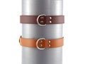 Two leather dog collars on a white background. One is light brown and the other is dark brown. They are strung on a gray tube, Royalty Free Stock Photo