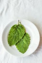 two leaves of fresh green sage on a white background. The concept of using herbs and spices at home. Royalty Free Stock Photo