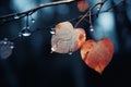 two leaves hanging from a branch with water droplets on them Royalty Free Stock Photo