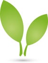 Two leaves, plant in green, spa and gardener logo, icon