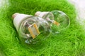 Two LED bulb E27 with different chips in large transparent glass Royalty Free Stock Photo