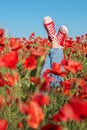 Two legs in red sneakers in a poppy field. Royalty Free Stock Photo