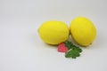 Two Lemon with green leaf abd red love