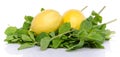 Two lemons on a bed of fresh mint Royalty Free Stock Photo