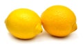 Two lemons fruit isolated on white background Royalty Free Stock Photo