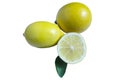 Two lemons half lemon and green leaf on white isolate background