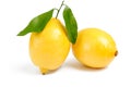 Two lemons with leafs on white Royalty Free Stock Photo