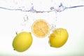 Two lemons and lemon slice spash in water on white background Royalty Free Stock Photo