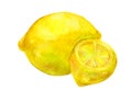 Two lemons painted with a watercolor Royalty Free Stock Photo