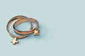 Two lesbian female wedding rings isolated on pastel green background. Copy space included. LGBTQ+ people right to live together