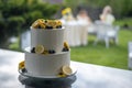 Two level white wedding cake, decorated with fresh red fruits and berries. Bright banquet table decoration on background of lights Royalty Free Stock Photo