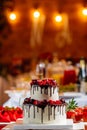 Two level white wedding cake, decorated with fresh red fruits and berries, drenched in chocolate. Bright banquet table decoration Royalty Free Stock Photo