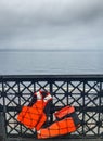 Two life vests stowed in safety netting on car ferry.