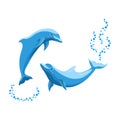 Two Light Blue Dolphins Royalty Free Stock Photo