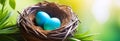 two light blue eggs in bird's nest in greenery against blurred green background, Easter banner with space for Royalty Free Stock Photo