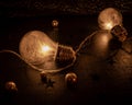 Two light bulbs filled with tiny feathers and golden balls Royalty Free Stock Photo