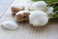 Two light tasty creamy macarons are lying on the wooden table with white tulips. Two macarons in form of the heart as 8