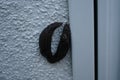 Two Limax maximus slugs are crawling on a white exterior wall in a garden. Berlin, Germany Royalty Free Stock Photo