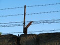 Two lines of monobasic and several lines of dibasic rusty barbed wire Royalty Free Stock Photo