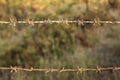 Two lines of old dry rusty barbed wire with some spider silks, b Royalty Free Stock Photo