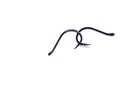 Two linked fish hooks for catching carp on a white background. Fishing Royalty Free Stock Photo