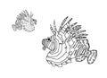 Two lion fish, colouring book page uncolored Royalty Free Stock Photo