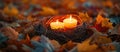 Two Lit Candles in Nest Surrounded by Leaves Royalty Free Stock Photo