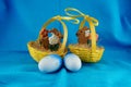 Two litlebunny baskets Royalty Free Stock Photo