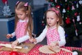 Two little adorable girls make gingerbread cookies Royalty Free Stock Photo
