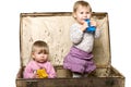 Two little babies in sutcase. Royalty Free Stock Photo