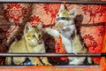 Two Little baby cats happiness and fun playing Royalty Free Stock Photo