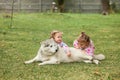 The two little baby girls playing with dog against green grass Royalty Free Stock Photo