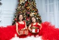 Two little beautiful girls in gorgeous dresses in front of the Christmas tree