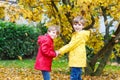 Two little best friends and kids boys autumn park in colorful clothes. Royalty Free Stock Photo