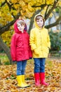 Two little best friends and kids boys autumn park in colorful clothes.