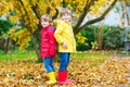 Two little best friends and kids boys autumn park in colorful clothes.