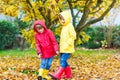 Two little best friends and kids boys autumn park in colorful clothes. Royalty Free Stock Photo