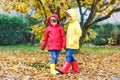 Two little best friends and kids boys autumn park in colorful clothes. Happy siblings children having fun in red and Royalty Free Stock Photo