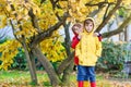 Two little best friends and kids boys autumn park in colorful clothes. Happy siblings children having fun in red and Royalty Free Stock Photo