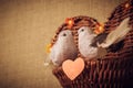Two little bird the lovers, heart