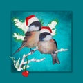 Two little birds in love at Christmas Royalty Free Stock Photo