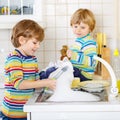 Two little blond kid boys washing dishes in domestic kitchen