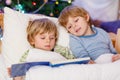 Two little blond sibling boys reading a book on Christmas Royalty Free Stock Photo