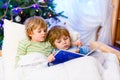 Two little blond sibling boys reading a book on Christmas Royalty Free Stock Photo