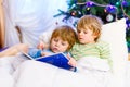 Two little blond sibling boys reading a book on Christmas Royalty Free Stock Photo