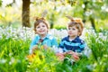 Two little boy friends in Easter bunny ears eating chocolate Royalty Free Stock Photo