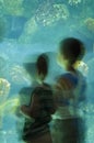 Two Little Boys at Aquarium - Motion Blur Royalty Free Stock Photo